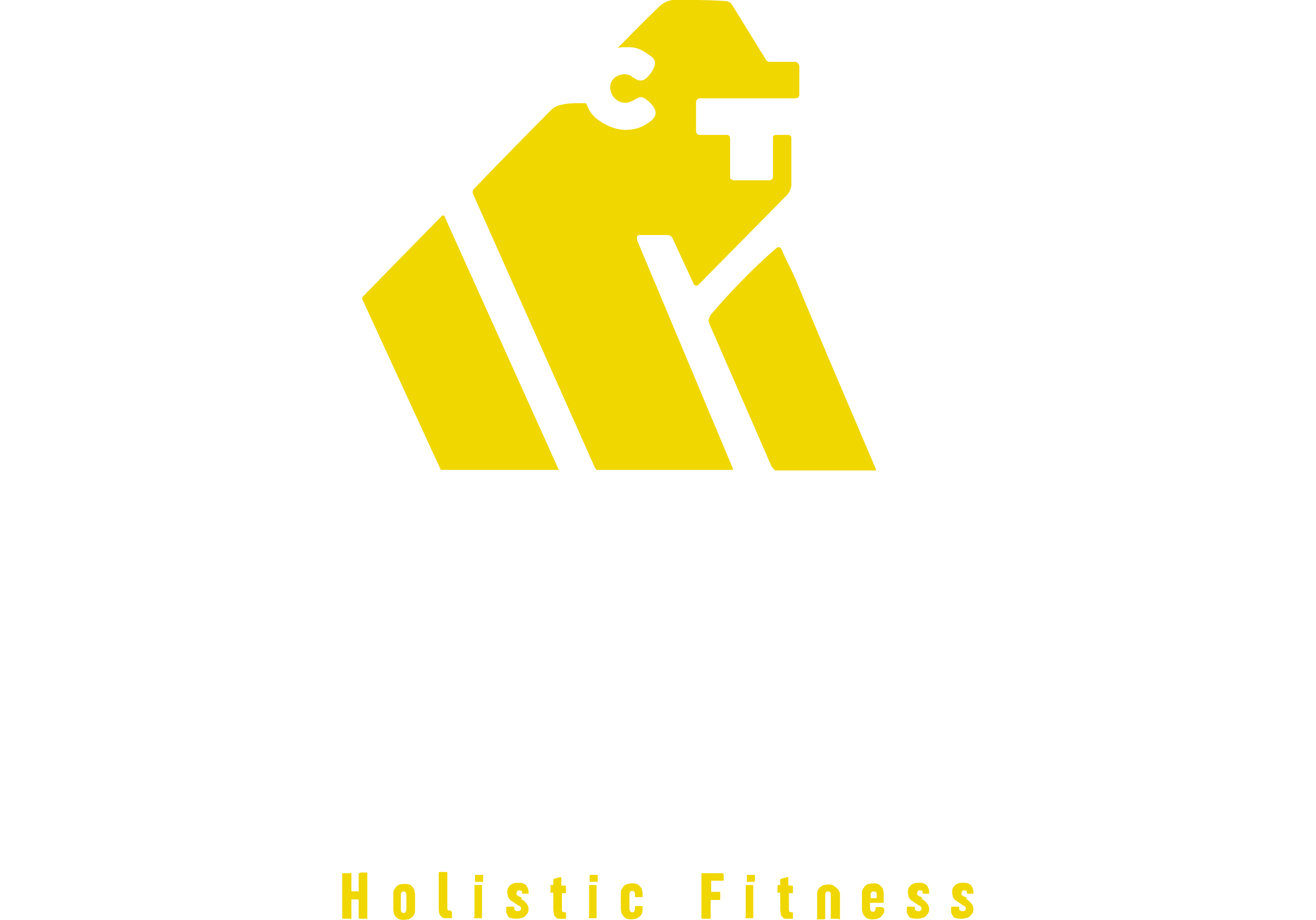 ChineseTarzan